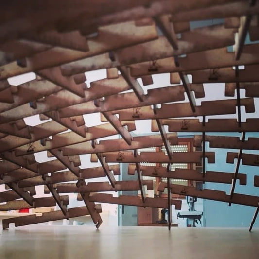 Cúpula de Leonardo 250 S